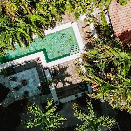 Griss Lodge & Spa Playa Santa Teresa  Екстериор снимка