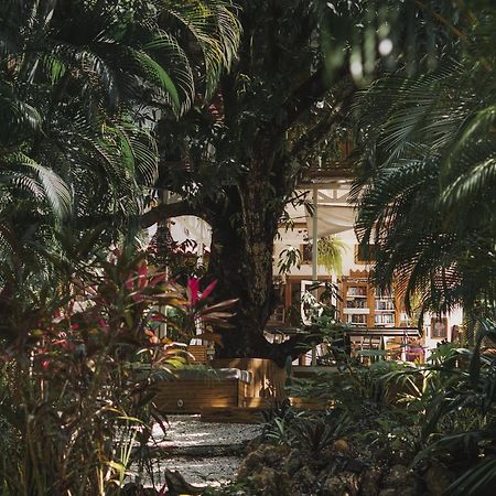 Griss Lodge & Spa Playa Santa Teresa  Екстериор снимка
