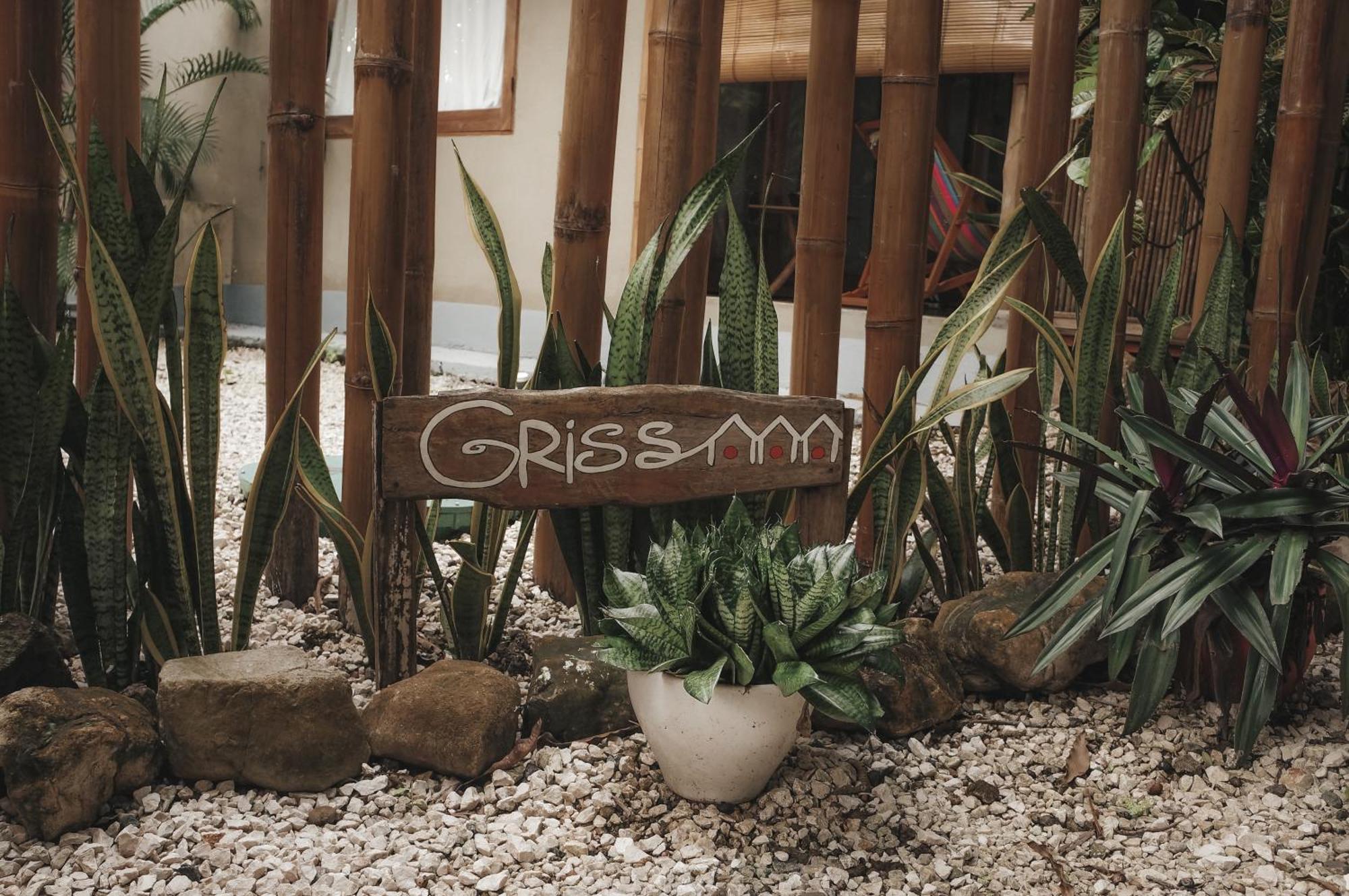 Griss Lodge & Spa Playa Santa Teresa  Екстериор снимка