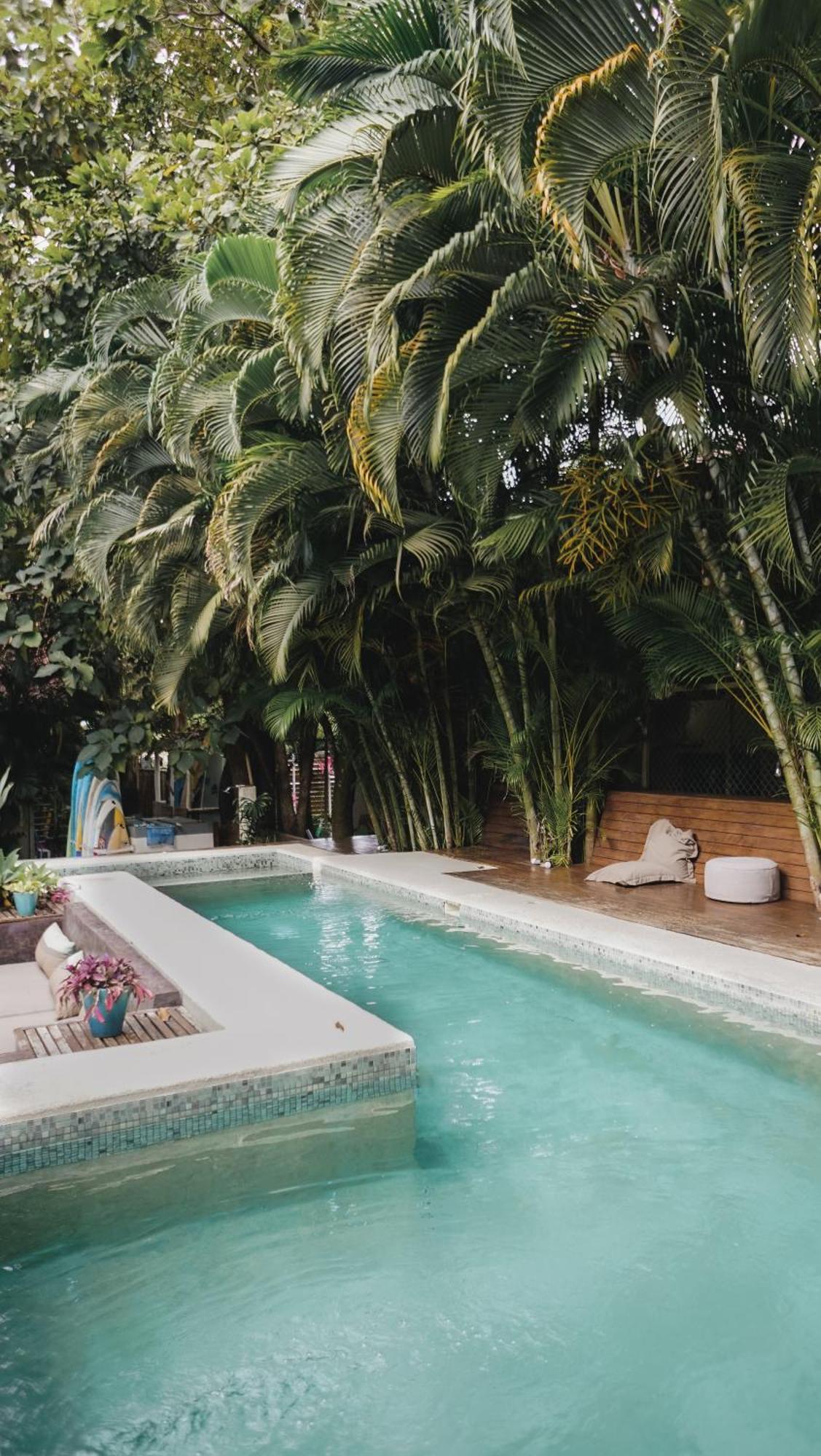 Griss Lodge & Spa Playa Santa Teresa  Екстериор снимка